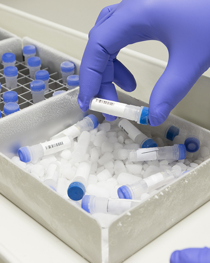 dry ice supplier dubai